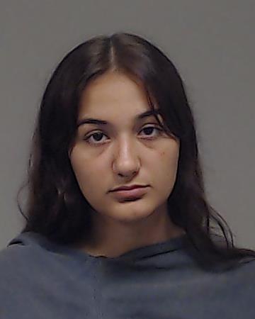 Comidy, Heena Noohee arrested by Collin County SO/PD