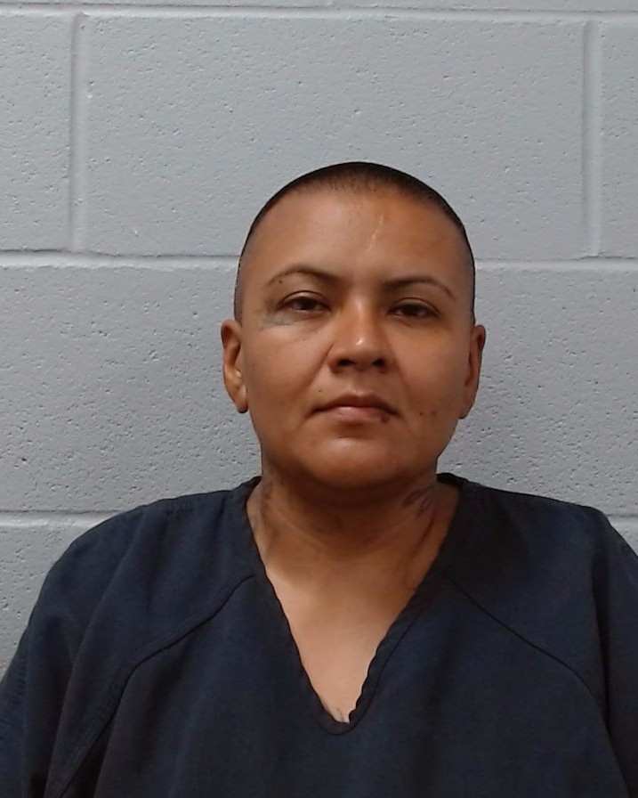 Reyes, Amanda Ann arrest record in Hays County, Texas Reyes, Amanda Ann arrested in Hays County, Texas mugshot