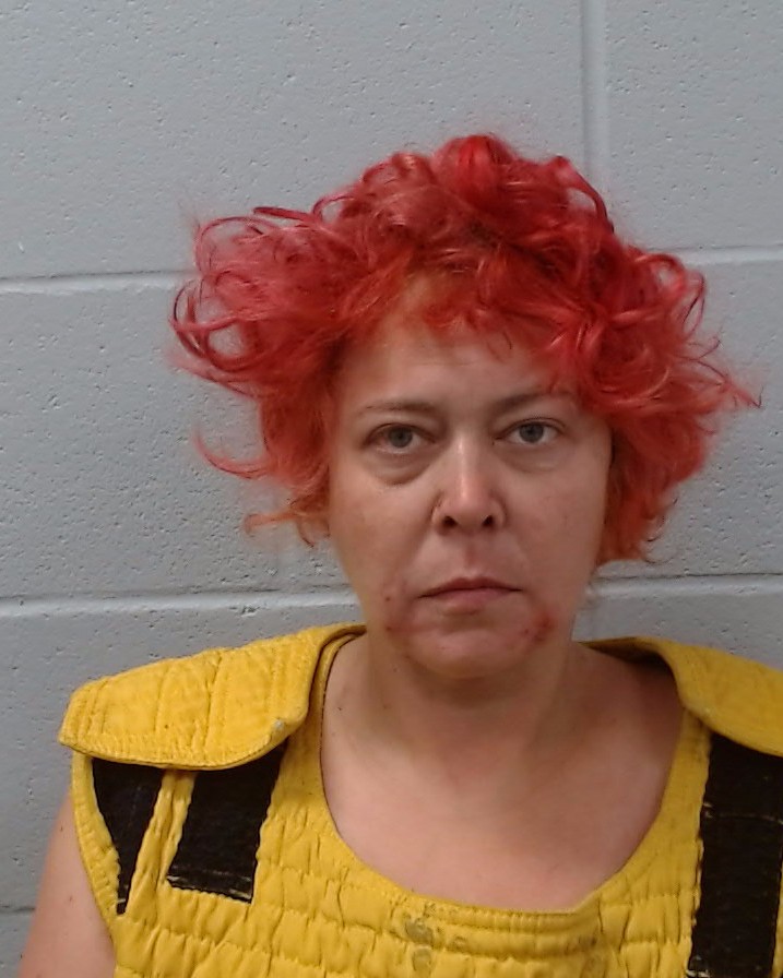 Stannard, Nicole Marie arrest record in Hays County, Texas Stannard, Nicole Marie arrested in Hays County, Texas mugshot