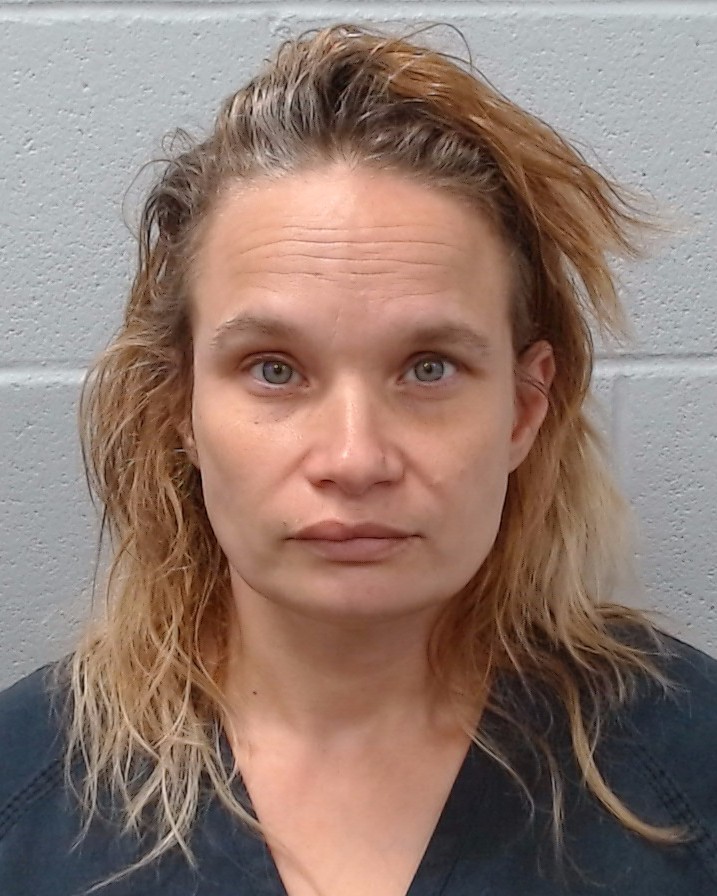 Truesdale, Melody Anne arrest record in Hays County, Texas Truesdale, Melody Anne arrested in Hays County, Texas mugshot