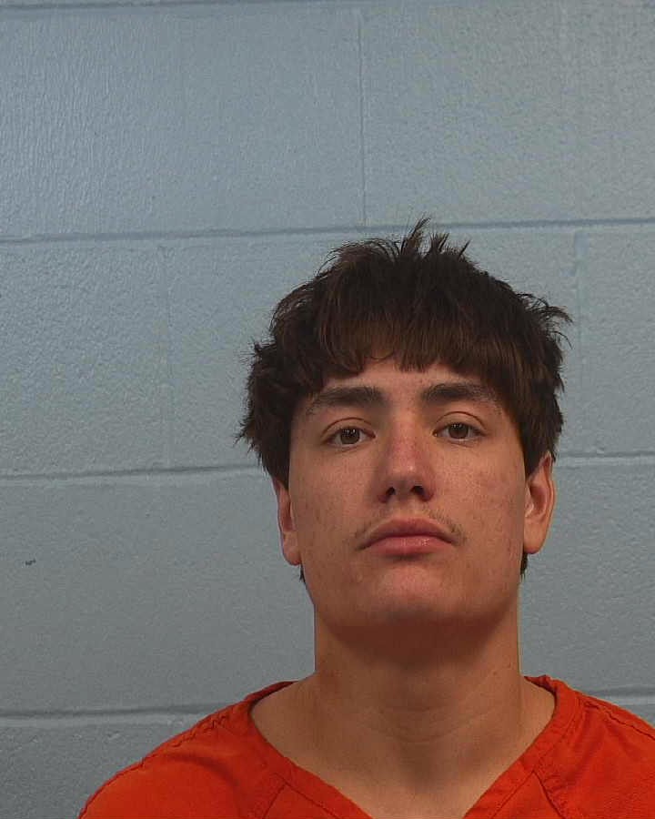 Davis, Christopher Michael arrested by Williamson County PD/SO