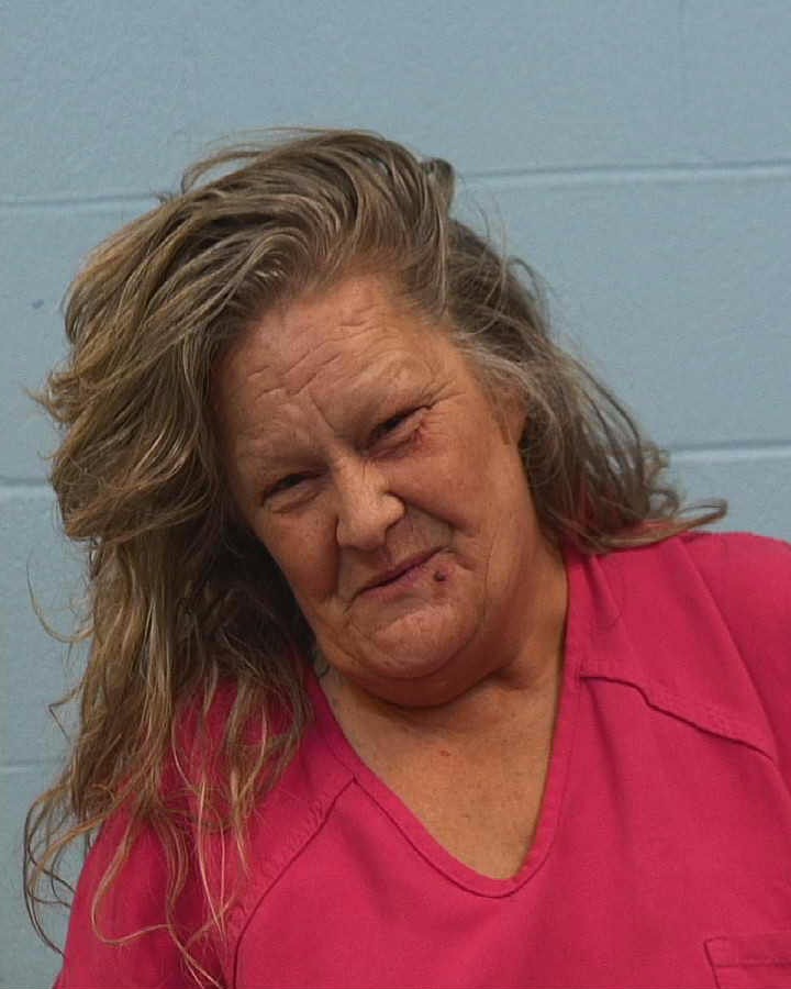 Zismer, Tonya Ann arrest record in Williamson County, Texas Zismer, Tonya Ann arrested in Williamson County, Texas mugshot