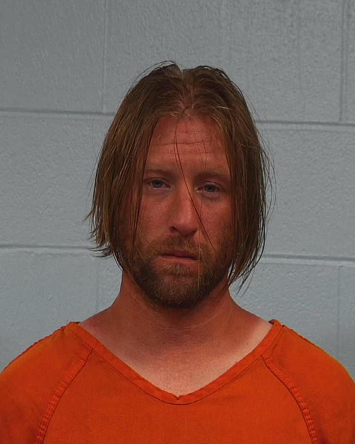Horton, Dyllan Patrick arrested by Williamson County PD/SO