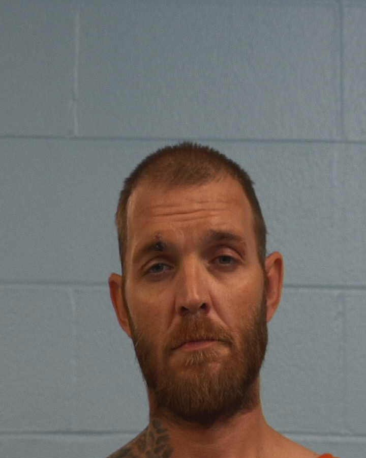Hamilton, Jason Danial arrested by Williamson County PD/SO