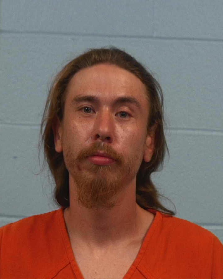 Sims, Christopher Michael arrested by Williamson County PD/SO