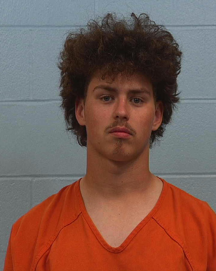 Barnes, James Author arrested by Williamson County PD/SO