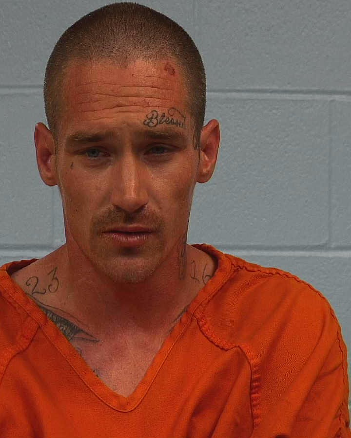 Leras, Michael James arrested by Williamson County PD/SO