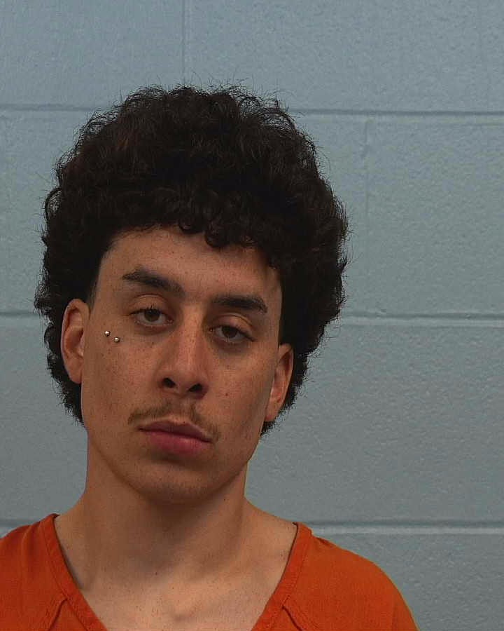 Rogers, Dominic Stanley arrested by Williamson County PD/SO