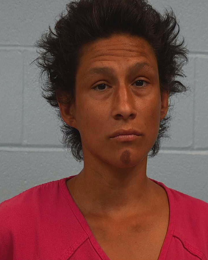 Navejar, Julie Ann arrested by Williamson County PD/SO