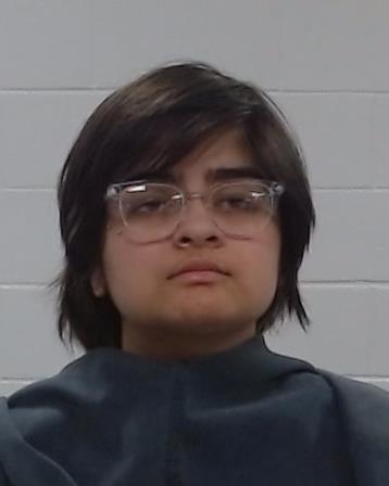 Ruiz, Britney J arrest record in Collin County, Texas Ruiz, Britney J arrested in Collin County, Texas mugshot