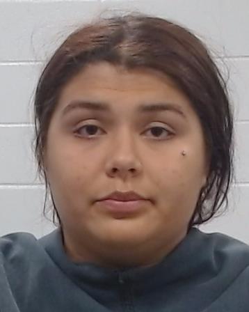 Dejesus, Gabrielle Elizaneth arrest record in Collin County, Texas Dejesus, Gabrielle Elizaneth arrested in Collin County, Texas mugshot