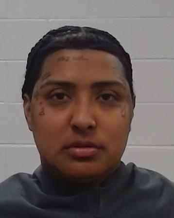 White, Jasmyn arrest record in Collin County, Texas White, Jasmyn arrested in Collin County, Texas mugshot