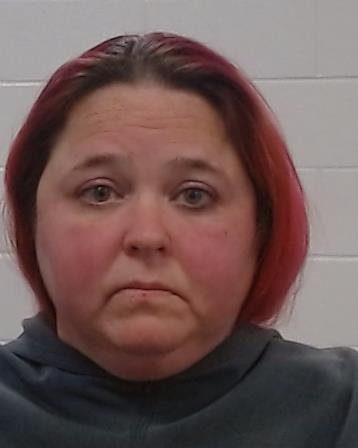 Ellsworth, Erin Renee arrest record in Collin County, Texas Ellsworth, Erin Renee arrested in Collin County, Texas mugshot