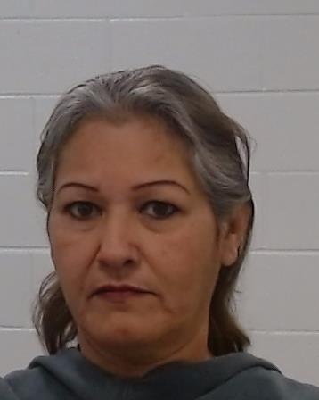 GALAVIZ, LINDA arrest record in Collin County, Texas GALAVIZ, LINDA arrested in Collin County, Texas mugshot