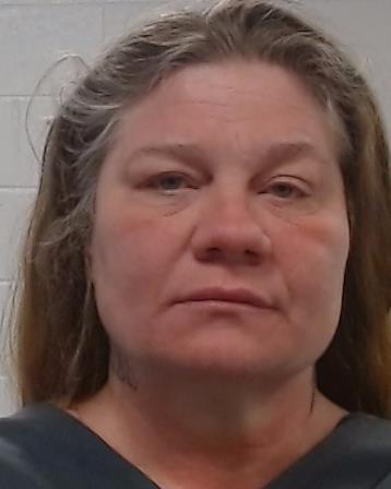 Theriault, Elizabeth Marie arrest record in Collin County, Texas Theriault, Elizabeth Marie arrested in Collin County, Texas mugshot