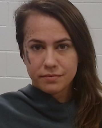 Mcswain, Jaryn Michelle arrest record in Collin County, Texas Mcswain, Jaryn Michelle arrested in Collin County, Texas mugshot