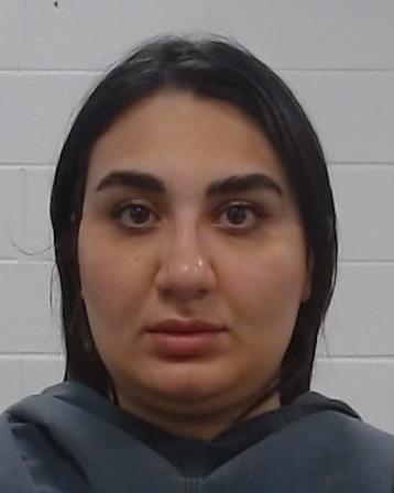 Khademi, Shima arrest record in Collin County, Texas Khademi, Shima arrested in Collin County, Texas mugshot