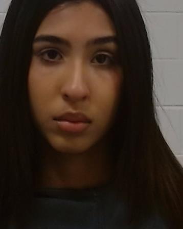 Rasheed, Rujeen Haitham arrest record in Collin County, Texas Rasheed, Rujeen Haitham arrested in Collin County, Texas mugshot