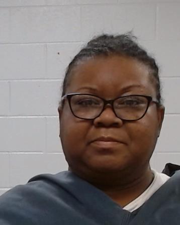 Webb, Christenina Ivana arrest record in Collin County, Texas Webb, Christenina Ivana arrested in Collin County, Texas mugshot