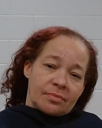 Seiter, Celeste A arrest record in Collin County, Texas Seiter, Celeste A arrested in Collin County, Texas mugshot