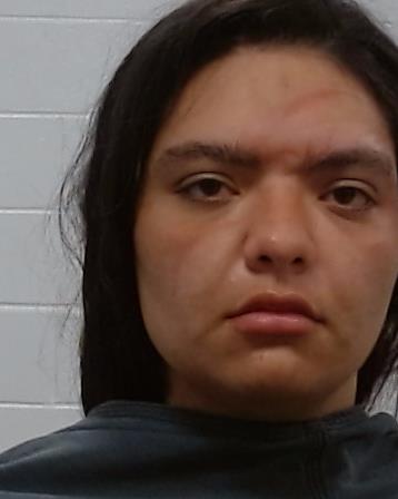 Garcia, Nadine Ann arrest record in Collin County, Texas Garcia, Nadine Ann arrested in Collin County, Texas mugshot