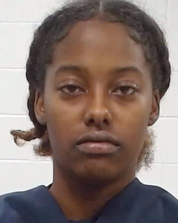 Childs, Lakaila arrest record in Collin County, Texas Childs, Lakaila arrested in Collin County, Texas mugshot