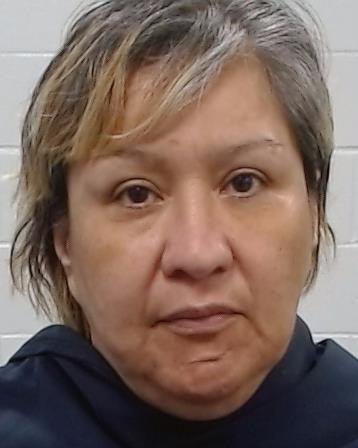Hernandez, Michelle Lee arrest record in Collin County, Texas Hernandez, Michelle Lee arrested in Collin County, Texas mugshot