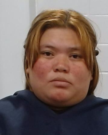 Avila Perez, Mirian Suyapa arrest record in Collin County, Texas Avila Perez, Mirian Suyapa arrested in Collin County, Texas mugshot