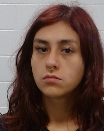 Hernandez, Yhazmin arrest record in Collin County, Texas Hernandez, Yhazmin arrested in Collin County, Texas mugshot