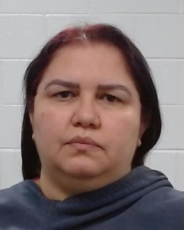 Andrade Barrios, Johana Josefina arrest record in Collin County, Texas Andrade Barrios, Johana Josefina arrested in Collin County, Texas mugshot