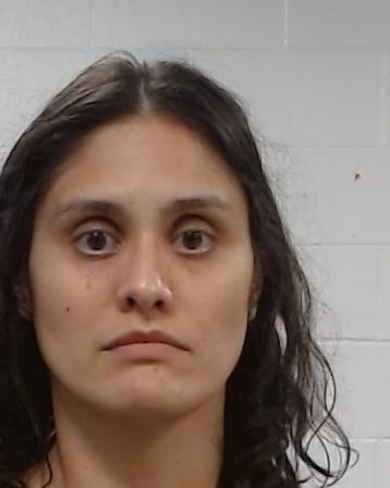 Lizaola, Paola Elizabeth arrest record in Collin County, Texas Lizaola, Paola Elizabeth arrested in Collin County, Texas mugshot