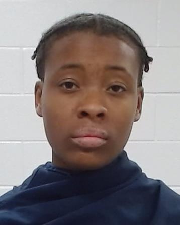 Anderson, Precious arrest record in Collin County, Texas Anderson, Precious arrested in Collin County, Texas mugshot