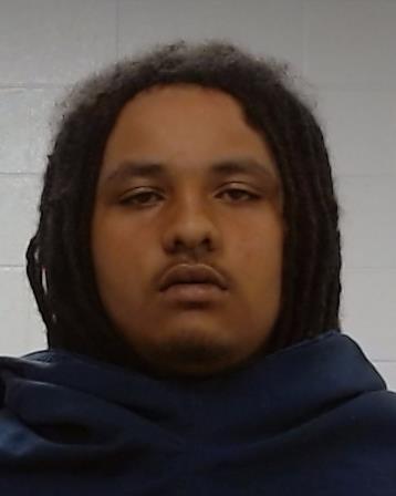 Blevins, Darius Alan arrest record in Collin County, Texas Blevins, Darius Alan arrested in Collin County, Texas mugshot
