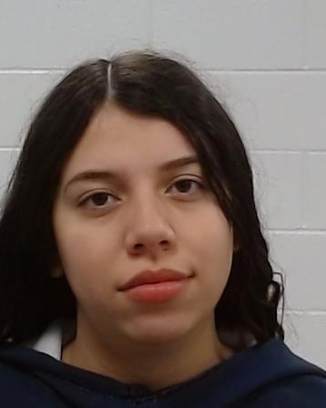 Menjibar, Ruby arrest record in Collin County, Texas Menjibar, Ruby arrested in Collin County, Texas mugshot