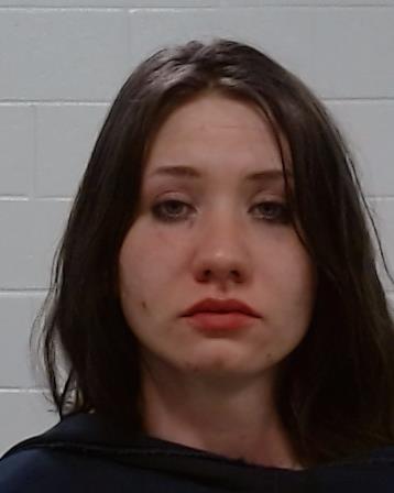 Toomer, Meagan Jane Marie arrest record in Collin County, Texas Toomer, Meagan Jane Marie arrested in Collin County, Texas mugshot