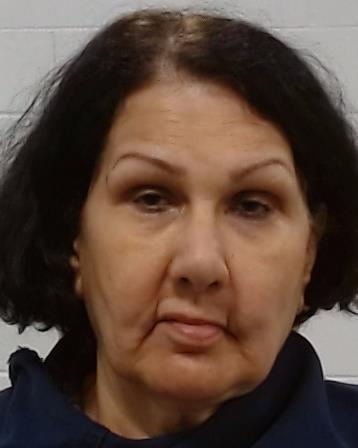 Haddad, Nadia Ali Hasan arrest record in Collin County, Texas Haddad, Nadia Ali Hasan arrested in Collin County, Texas mugshot
