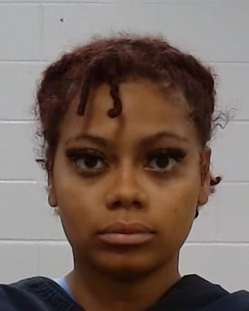 McGinnis, Kenyatta Shanell arrest record in Collin County, Texas McGinnis, Kenyatta Shanell arrested in Collin County, Texas mugshot