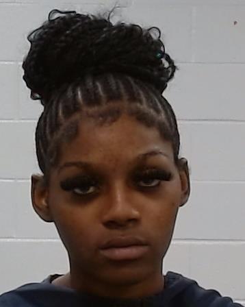 Page, Kymbreann Unique arrest record in Collin County, Texas Page, Kymbreann Unique arrested in Collin County, Texas mugshot
