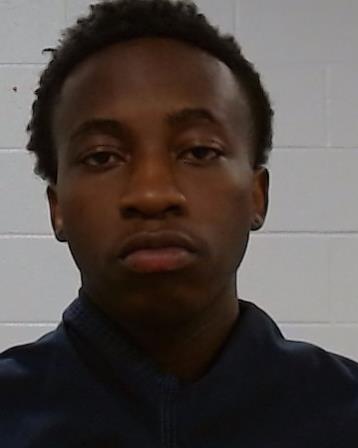 Sithole, Darlington Isheanopa arrest record in Collin County, Texas Sithole, Darlington Isheanopa arrested in Collin County, Texas mugshot