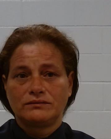 Cano Ortega, Ana Milena arrest record in Collin County, Texas Cano Ortega, Ana Milena arrested in Collin County, Texas mugshot