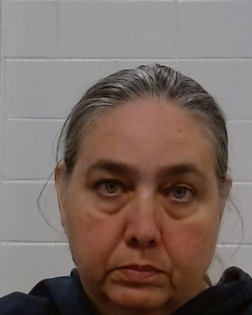 Hokey, Kristina Evonne arrest record in Collin County, Texas Hokey, Kristina Evonne arrested in Collin County, Texas mugshot