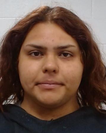 Barbosa, Andrea arrest record in Collin County, Texas Barbosa, Andrea arrested in Collin County, Texas mugshot