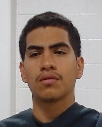 Diaz-Pina, Yandel arrest record in Collin County, Texas Diaz-Pina, Yandel arrested in Collin County, Texas mugshot