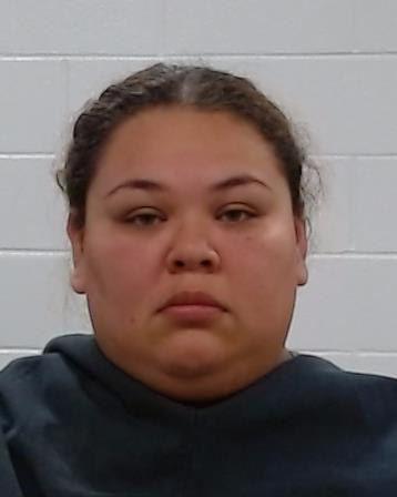 Gonzalez, Lorena Ibet arrest record in Collin County, Texas Gonzalez, Lorena Ibet arrested in Collin County, Texas mugshot