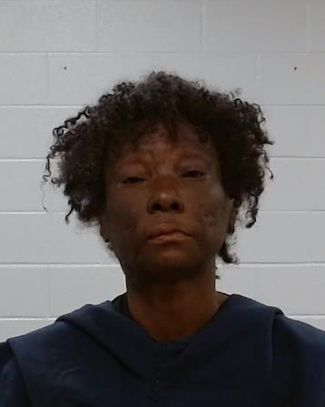 Hurndon, Latisha Rochelle arrest record in Collin County, Texas Hurndon, Latisha Rochelle arrested in Collin County, Texas mugshot