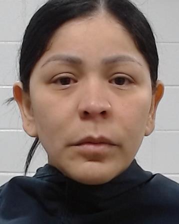 Santis, Claudia arrested by Collin County Sheriff’s Office