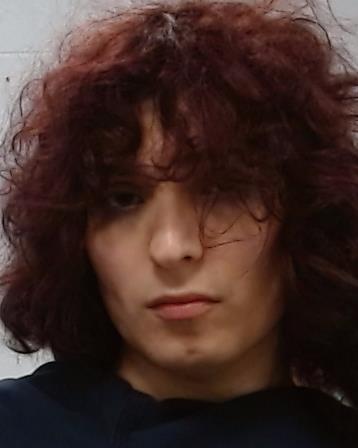 Ayala, Ricardo Andres arrest record in Collin County, Texas Ayala, Ricardo Andres arrested in Collin County, Texas mugshot