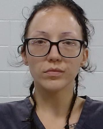 Steinbacher, Tiffany Sierra arrest record in Collin County, Texas Steinbacher, Tiffany Sierra arrested in Collin County, Texas mugshot