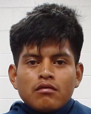 Bautista Hernandez, Alex arrest record in Collin County, Texas Bautista Hernandez, Alex arrested in Collin County, Texas mugshot