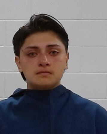 Amezquita, Rosilda arrest record in Collin County, Texas Amezquita, Rosilda arrested in Collin County, Texas mugshot
